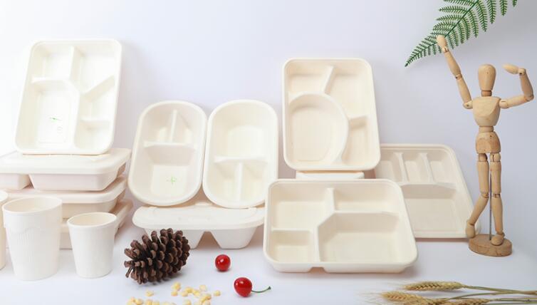 一次性打包盒有哪些使用场景