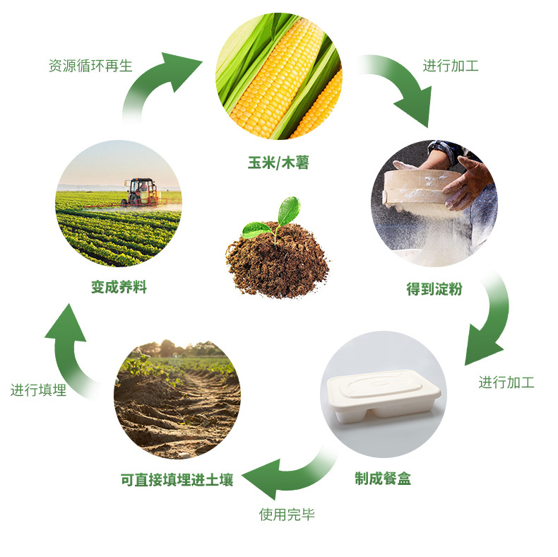 怎样推广全降解餐盒？