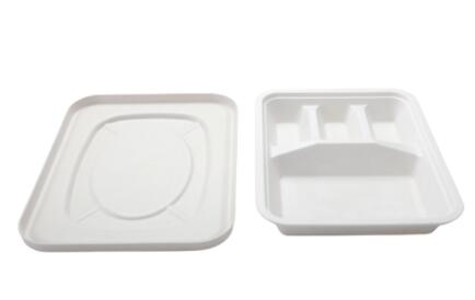 常见的环保型一次性打包饭盒有哪些类型