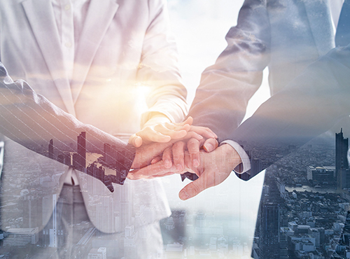 一次性可降解餐具之纸浆模塑餐具的优点分析